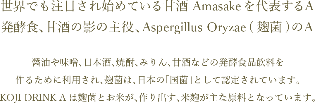 世界でも注目され始めている甘酒 Amasake を代表する A 発酵食、甘酒の影の主役、Aspergillus Oryzae (麹菌) のA 醤油や味噌、日本酒、焼酎、みりん、甘酒などの発酵食品飲料を 作るために利用され、麹菌は、日本の「国菌」として認定されています。 KOJI DRINK Aは麹菌とお米が、作り出す米麹が主な原料となっています。